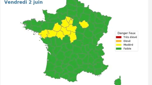 Météo France dévoile son nouvel outil : la "météo des forêts"