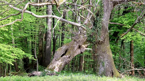 Après un week-end agité, la météo restera chargée en pluie aujourd'hui