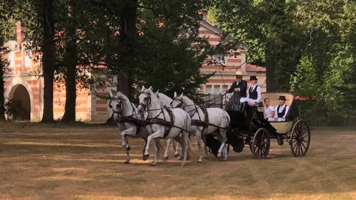 Gagnez votre balade en calèche pour toute la famille 