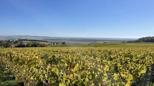 Vendanges : fermeture d’un lieu d’hébergement indigne
