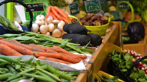 Nouveau marché solidaire pour les étudiants à Châlons-en-Champagne