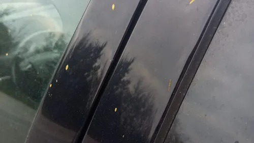 Tâches jaunes à Loon-Plage : "Près de 3 ans que cela dure" 