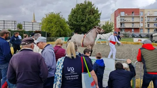 Hazebrouck : le public conquis par la Foire Agricole