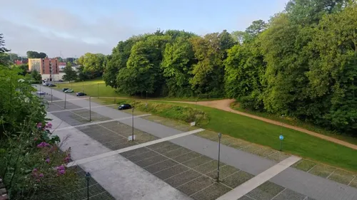 Stop aux crottes : l’ADN des chiens entre en action à Saint-Omer !