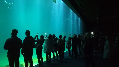 Le bel été de Nausicaà lui permet d'atteindre en 8 mois son...