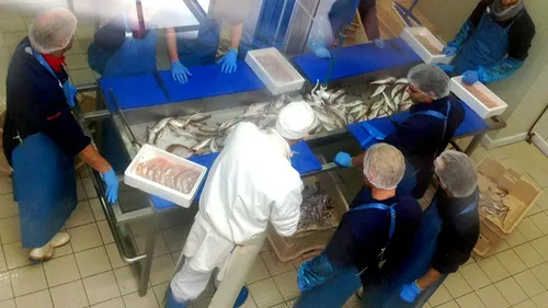 Qu'est-ce-que le PLIE, ce dispositif qui aide les personnes...