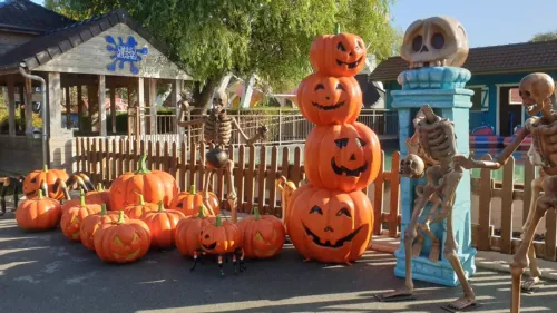 Audomarois : 20 euros pour aller à Dennlys en bus profiter des...