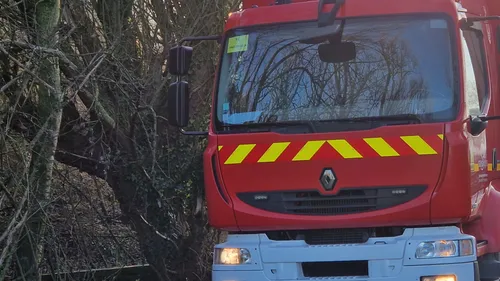 Le corps retrouvé dans la forêt de Clairmarais identifié
