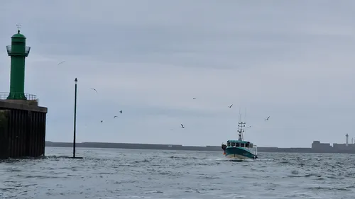 Boulogne-sur-Mer : Les méthodes dans la Manche des pêcheurs...