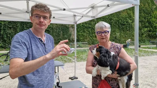 Saint-Omer : 440 chiens identifiés pour lutter contre les...