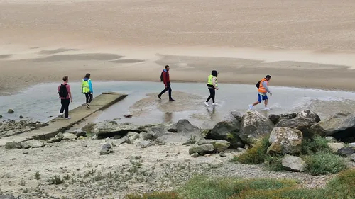 Gravelines / Grand-Fort-Philippe : une première battue pour...