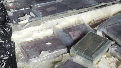 Dunkerque : une saisie de drogue d'une ampleur impressionnante