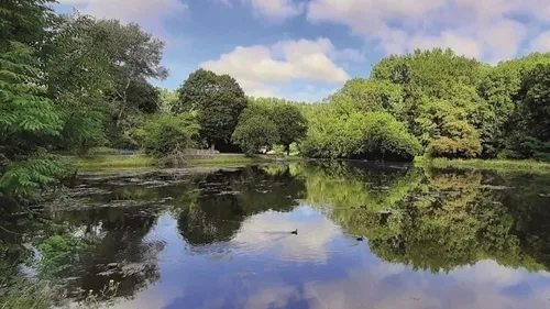 La première course de canards, c’est dimanche à Coudekerque-Branche !