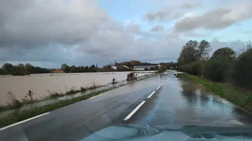 La Liane, la Hem, et l'Aa sous haute surveillance : on fait le...