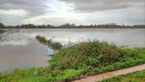Inondations : "On prend cher en ce moment", les agriculteurs...