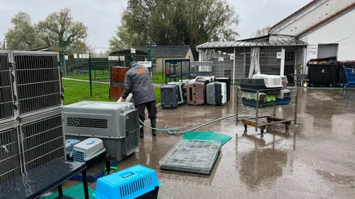 La SPA de Saint-Omer vidée de ses animaux