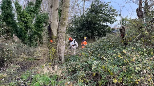 Des tronçonneuses et débroussailleuses en action à Oye-Plage