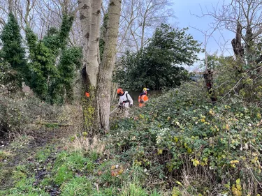 Des tronçonneuses et débroussailleuses en action à Oye-Plage