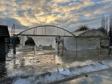 Après les averses, le gel :"Au moins 500 000 euros de dégâts" pour...