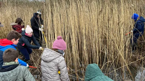 Des activités en plein air proposées pour les enfants et les...