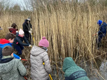 Des activités en plein air proposées pour les enfants et les...