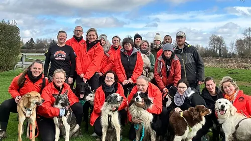 La toute première cani-rando organisé ce dimanche en Flandre