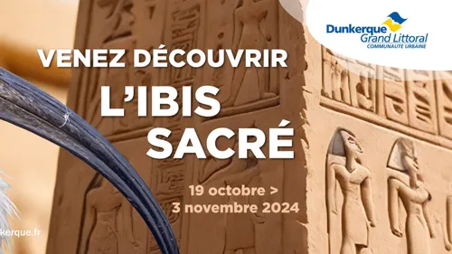 Venez découvrir l'Ibis Sacré à Bio-Topia pendant les vacances de la...