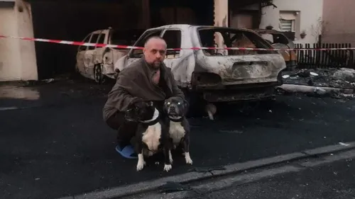 Boulogne : Rox et Rouky, les héros à quatre pattes qui ont sauvé...