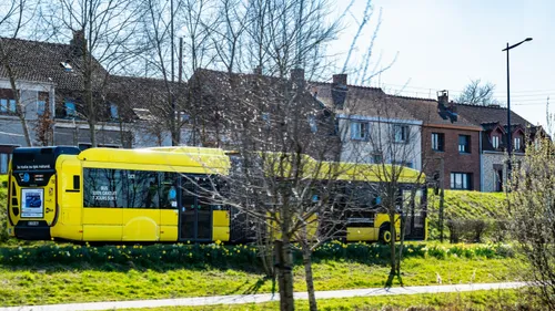 Dunkerquois : Plusieurs femmes agressées dans un Dk'Bus ce samedi