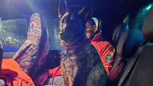 Le Touquet : deux jeunes filles et leur chien  piégés par la marée...