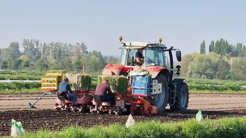 Saint-Omer : dimanche 8 juin, participez à "La randonnée du...