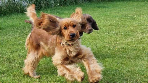 Saint-Omer  : une réunion publique ce vendredi soir sur la future...