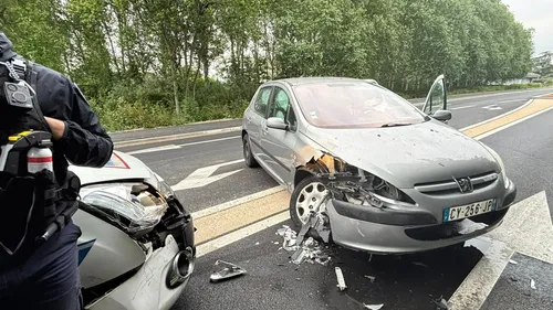 Intervention spectaculaire de la Police Municipale à Grande-Synthe...