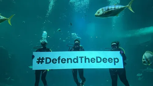 Nausicaá dit NON à l’exploitation minière des grands fonds marins