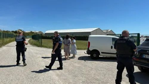 Outreau : deux chiens, dans une voiture en plein soleil, sauvée...