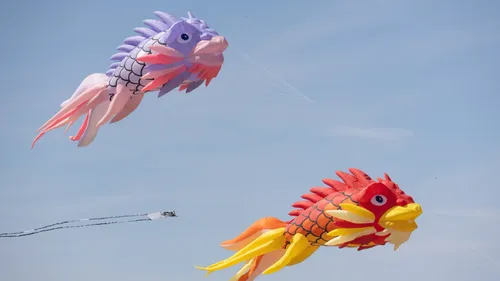 Grand-Fort-Philippe : Des dragons, des pieuvres géantes, Spiderman...