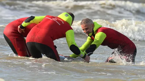 Zuydcoote : un sauvetage spectaculaire pour un cétacé échoué
