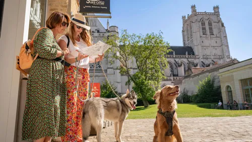 Saint-Omer : l'office du tourisme labélisée Toutourisme pour un...