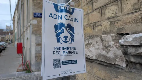 Quel bilan pour le dispositif d’ADN canin à Saint-Omer ?