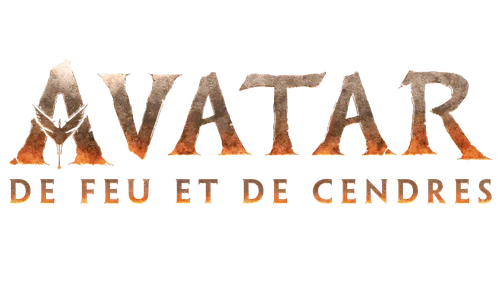 Cinémas de la région : Bilan 2025