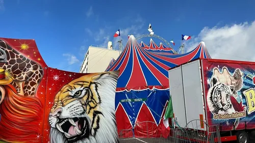 Le cirque Benzini, après Bray-Dunes, le chapiteau et la polémique...