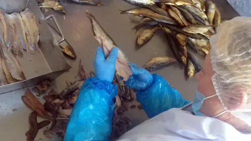 Les entreprises de Capécure en opération séduction dans les...