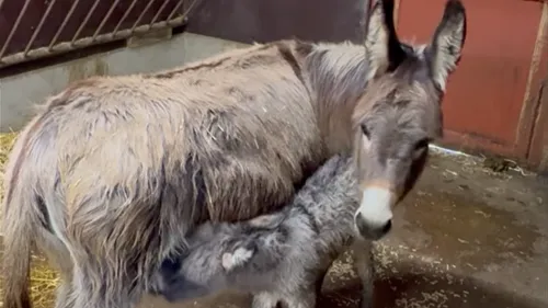 Carnet rose à Biotopia ! 