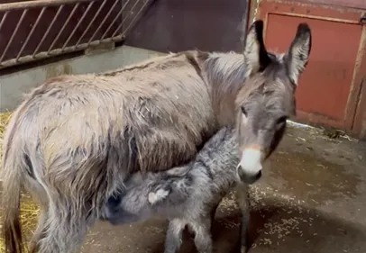 Carnet rose à Biotopia ! 