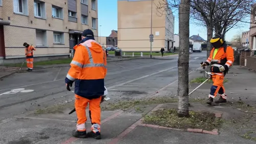 Fort-Mardyck : un plan propreté lancé par la Municipalité