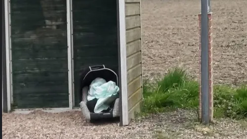 Haverskerque : pourquoi y a-t-il régulièrement un cosy abandonné à...