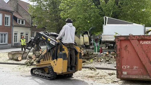 Bourbourg : pourquoi 14 arbres sont abattus 