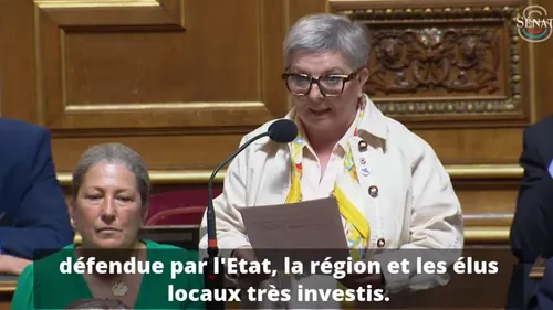 Dunkerquois, dossier ArcelorMittal : Au Sénat aussi, les élus...
