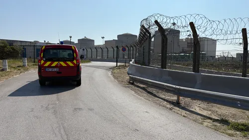 Gravelines : un phoque coincé à la ferme Aquanord, une longue...