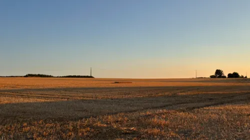 Thiembronne : des bâtiments agricoles ravagés par les flammes 